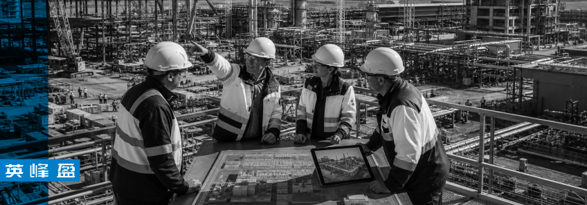 Integrated project team