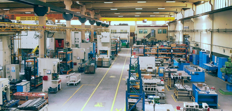 Wood-Polymer Composite Manufacturer «Polydeck»