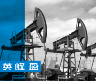 Petrochemical & Polymer Production
